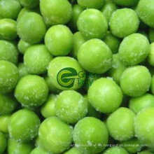 Guisantes verdes chinos congelados IQF